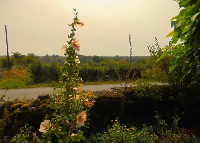 Chez Le Cros Calme Et Nature Dans La Creuse, Limousin *